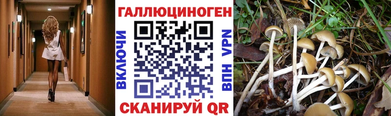 Купить закладки Крымск Псилоцибиновые грибы Magic Shrooms